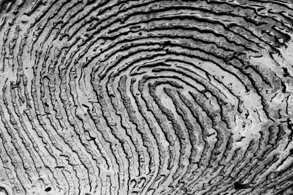 Creation of what fingerprints really say: Step 1